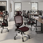 Ergonomická sieťovaná kancelárska stolička s bedrovou opierkou | Otočná, vínová